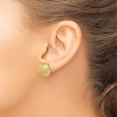 14K Lion's Paw Shell Post Earrings - 2