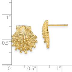 14K Lion's Paw Shell Post Earrings - 2