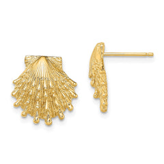 14K Lion's Paw Shell Post Earrings - 2