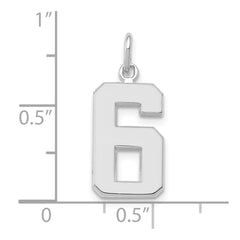 14kw Medium Polished Number 6 Charm