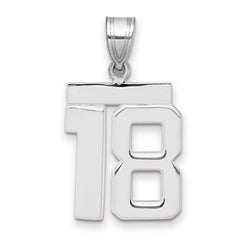 14kw Medium Polished Number 18 Charm