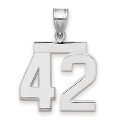 14kw Medium Polished Number 42 Charm
