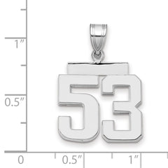 14kw Medium Polished Number 53 Charm
