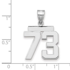 14kw Medium Polished Number 73 Charm