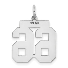 14kw Medium Satin Number 66 Charm
