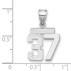 14kw Small Polished Number 37 Charm