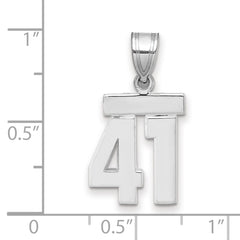 14kw Small Polished Number 41 Charm