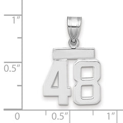 14kw Small Polished Number 48 Charm