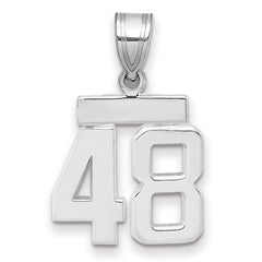 14kw Small Polished Number 48 Charm