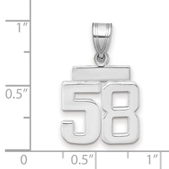 14kw Small Polished Number 58 Charm