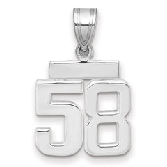 14kw Small Polished Number 58 Charm
