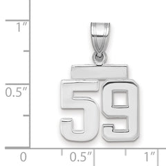 14kw Small Polished Number 59 Charm
