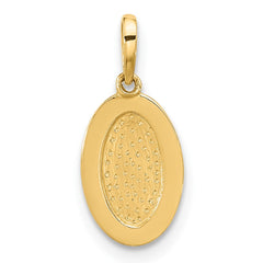 14K Polished Oval with Rope Border Charm