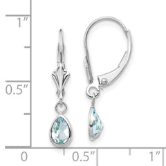 14k White Gold 6x4mm Aquamarine/March Earrings