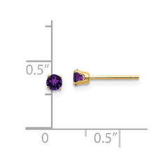 14k 3mm February/Amethyst Post Earrings