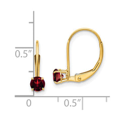 14k Garnet Earrings - January - 2