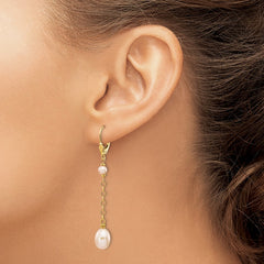 14k 5-8mm Pink Rice and Semi-Round Freshwater Cultured Pearl Dangle Leverback Earrings