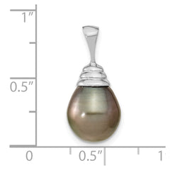 14k White Gold 10-11mm Black Teardrop Tahitian Saltwater Cultured Pearl Pendant