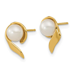 14k 5-6mm White Button Freshwater Cultured Pearl Post Earrings - 3