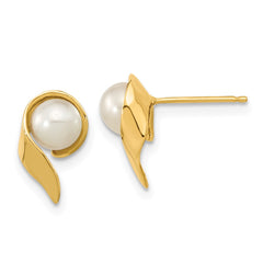 14k 5-6mm White Button Freshwater Cultured Pearl Post Earrings - 3