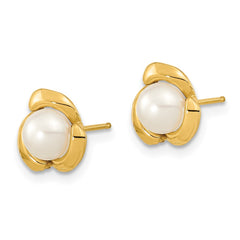 14k 5-6mm White Button Freshwater Cultured Pearl Post Earrings - 4