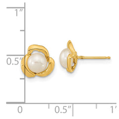 14k 5-6mm White Button Freshwater Cultured Pearl Post Earrings - 4