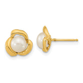 14k 5-6mm White Button Freshwater Cultured Pearl Post Earrings - 4