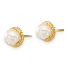 14k 5-6mm White Button Freshwater Cultured Pearl Post Earrings and Pendant Set - 2