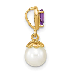 14K Gold w/ Amethyst & Freshwater Cultured Pearl Polished Chain Slide