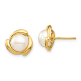 14K 7-8mm White Button Freshwater Cultured Pearl Post Earrings