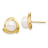 14K 7-8mm White Button Freshwater Cultured Pearl Post Earrings - 2