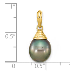14k 9-10mm Black Teardrop Tahitian Saltwater Cultured Pearl Pendant
