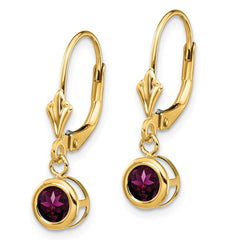 14k 5mm Rhodolite Garnet Leverback Earrings