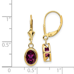 14k 8x6mm Oval Rhodolite Garnet Leverback Earrings