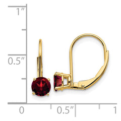 14k 5mm Garnet Leverback Earrings