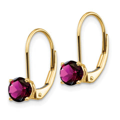 14k 5mm Rhodolite Garnet Leverback Earrings - 2