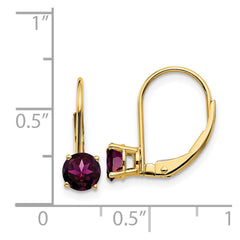 14k 5mm Rhodolite Garnet Leverback Earrings - 2