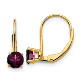 14k 5mm Rhodolite Garnet Leverback Earrings - 2