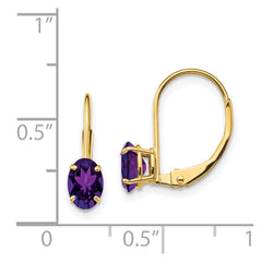 14k 6x4mm Oval Amethyst Leverback Earrings