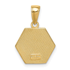 14k 14mm Hexagon Enameled Textured Back Medical Disc Pendant