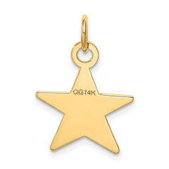 14K Star Disc Charm - 2