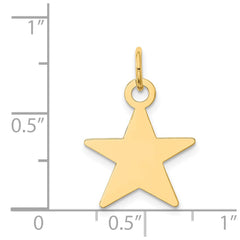14K Star Disc Charm - 2
