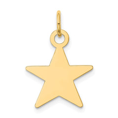 14K Star Disc Charm - 2