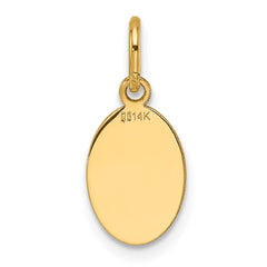 14k Plain .013 Gauge Engravable Oval Disc Charm - 2