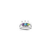 10k White Gold Synthetic Family Jewelry Ring - 14