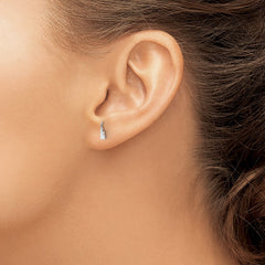 14KW Delaware State Earrings