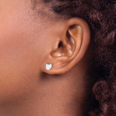 14KW Ohio State Earrings