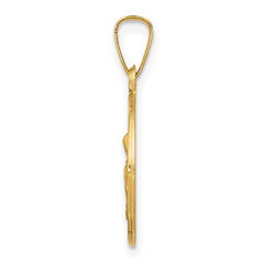 14k Polished and Satin St. Anne Medal Hollow Pendant