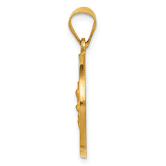 14K Hollow Polished/Satin Spanish Perpetuo Socorro Medal
