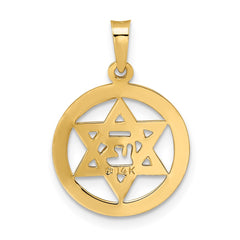 14k Polished and Enameled Solid Star of David Pendant - 2